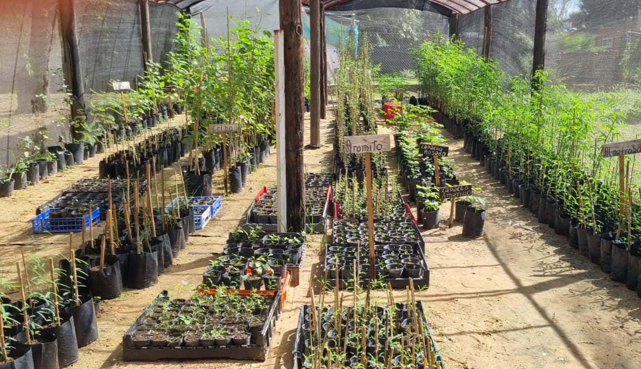 El Vivero Municipal produce ejemplares para diversos programas ambientales, al tiempo que promueve la educación ecológica en escuelas locales.