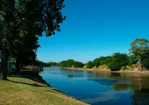 sin foto