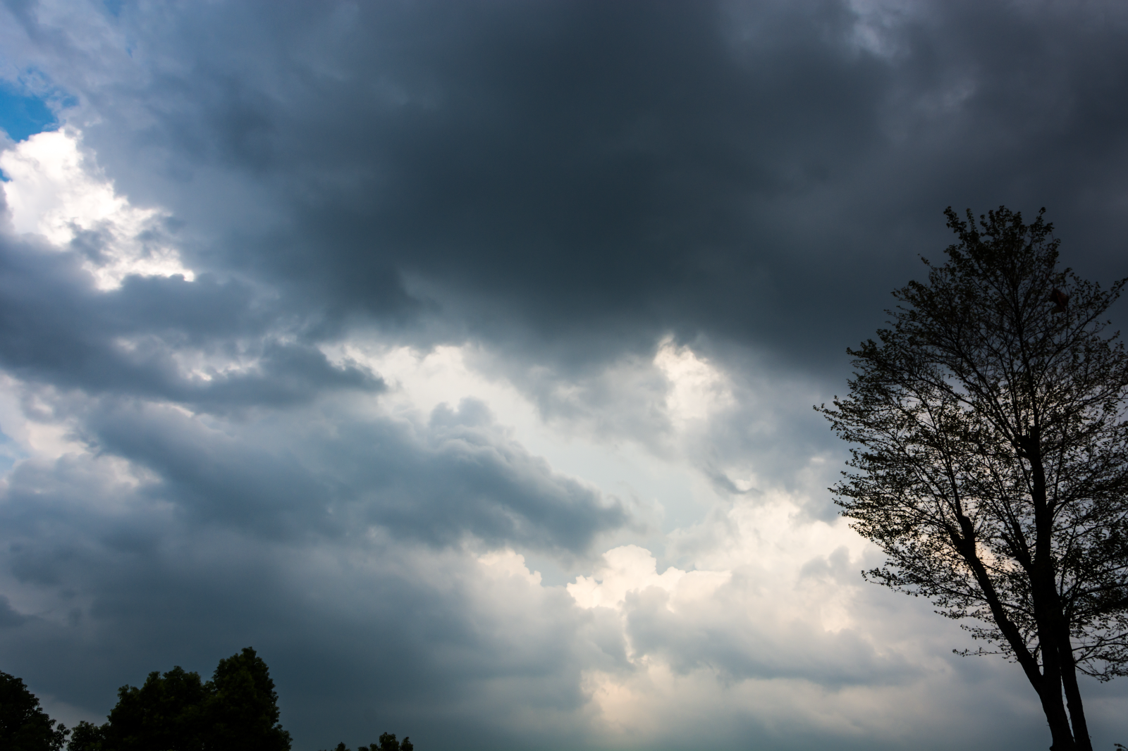 El Municipio de Paso de los Libres lanzó precauciones para evitar accidentes ante la posibilidad de lluvias intensas, ráfagas de viento y actividad eléctrica. 