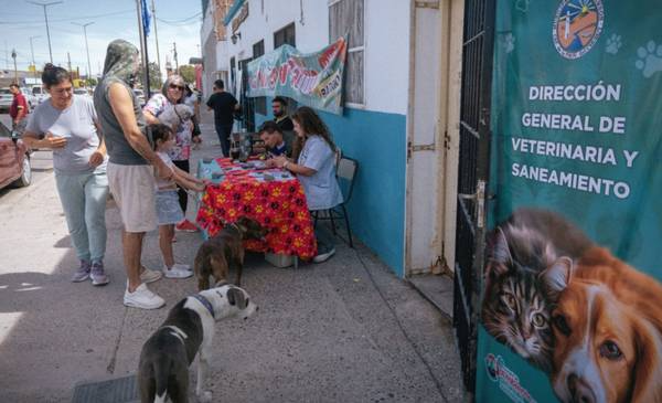 sin foto