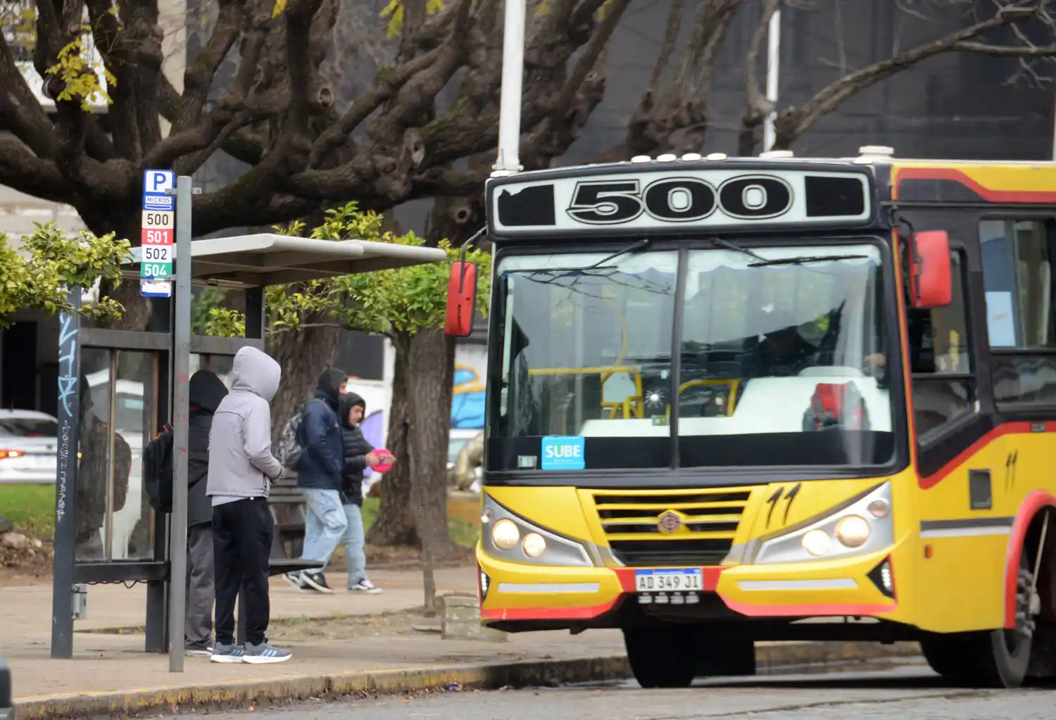 Luján Fiego, titular de Transporte, pidió restituir servicios y remarcó que "es responsabilidad del Ejecutivo controlar que la empresa cumpla con lo estipulado en el pliego".