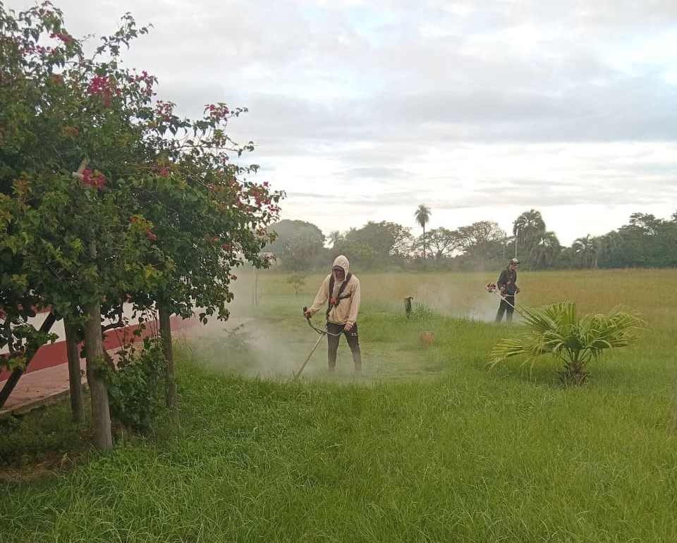 Se llevaron a cabo trabajos de corte de pasto para mejorar el orden y la limpieza de los espacios.
