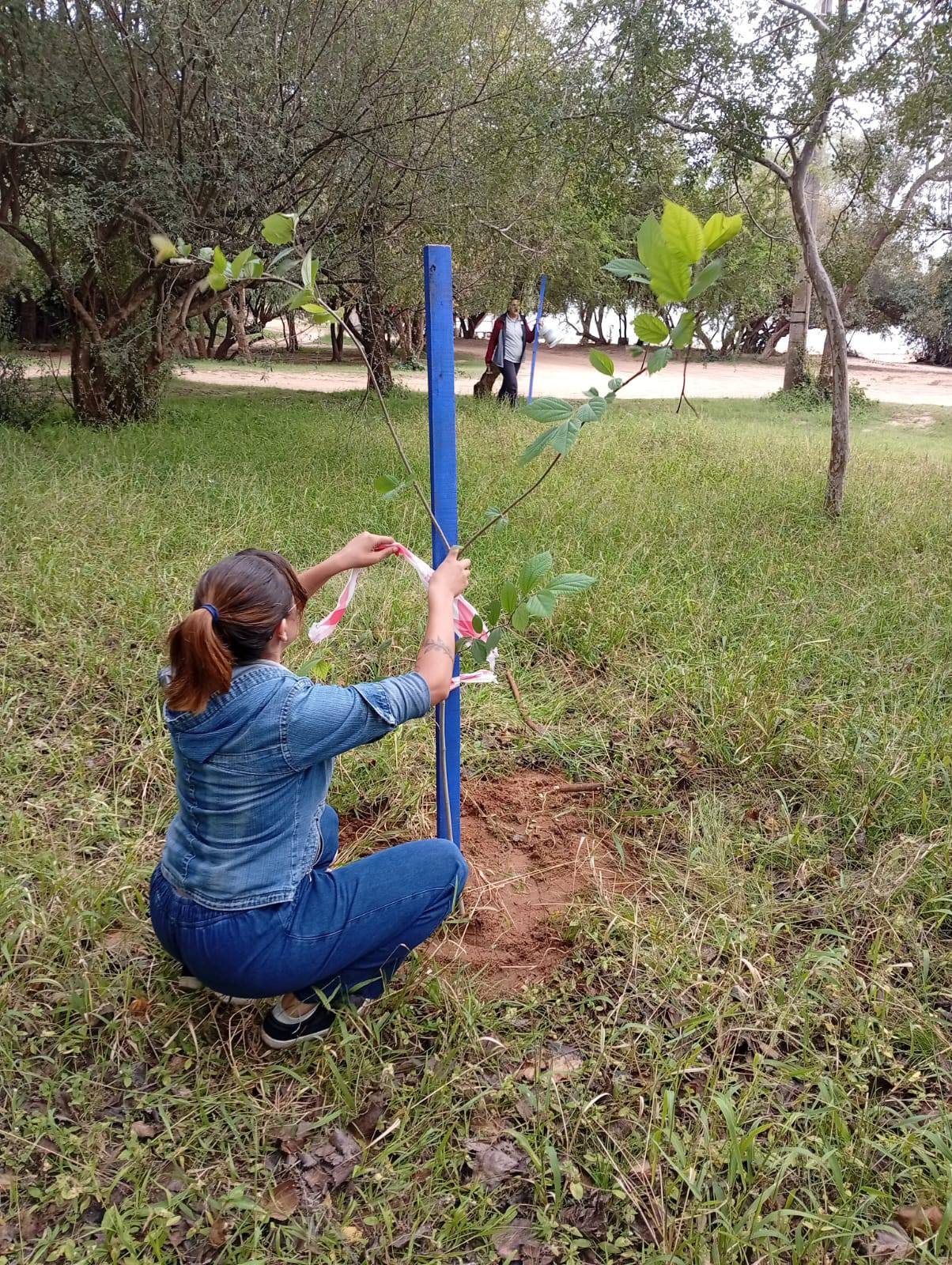 Se incorporaron árboles autóctonos para mejorar el ambiente y fortalecer el ecosistema local.