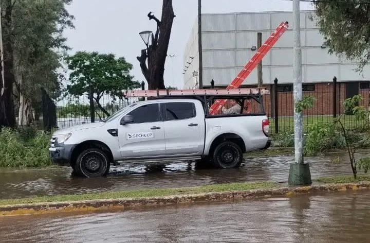 sin foto