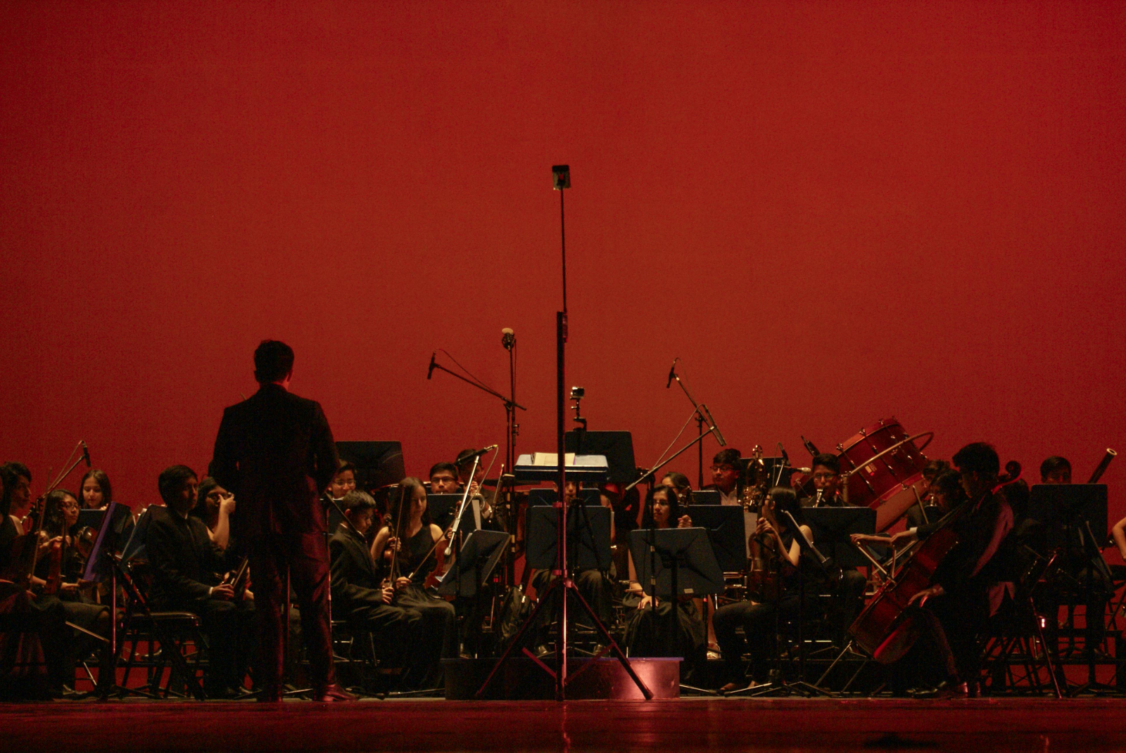 La Sinfonietta de Santa Cruz presentará el Concierto para Clarinete de Mozart en la Casa Histórica.