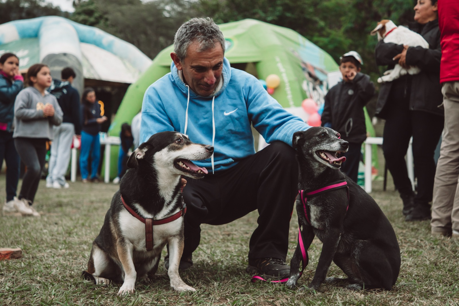 Atenderá en la Casa de la Cultura con vacunación, desparasitación y entrega de turnos para castración, en una jornada destinada a promover la salud animal y la tenencia responsable.