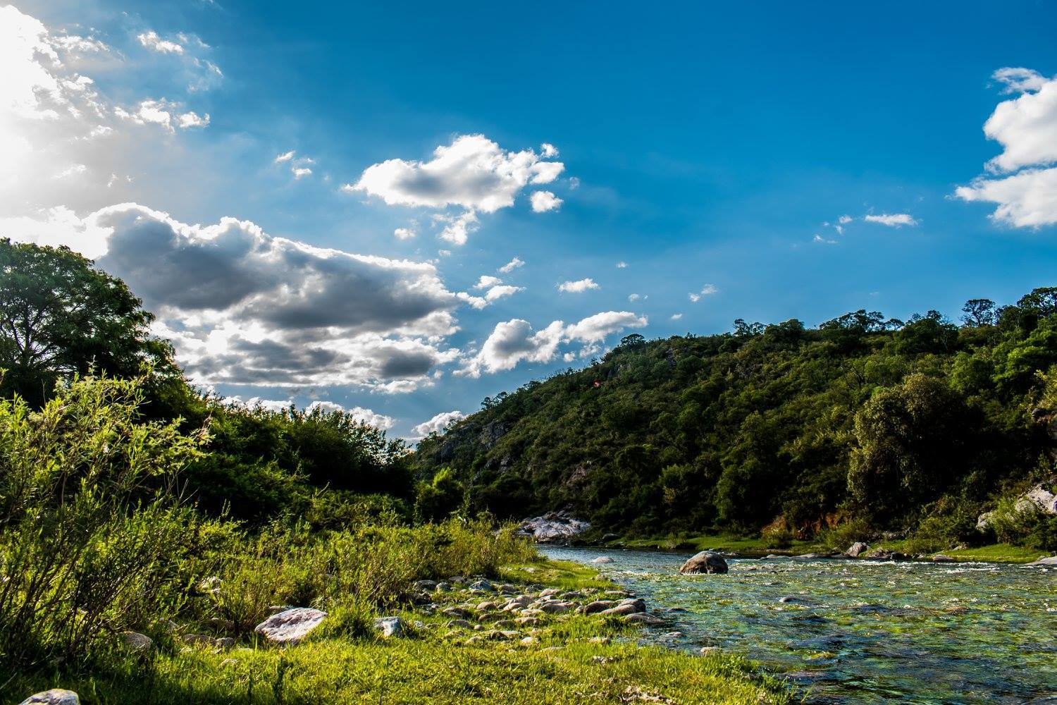 Descubrí un destino único donde la naturaleza, la miel orgánica y la paz absoluta se fusionan en una escapada perfecta para desconectar del mundo.