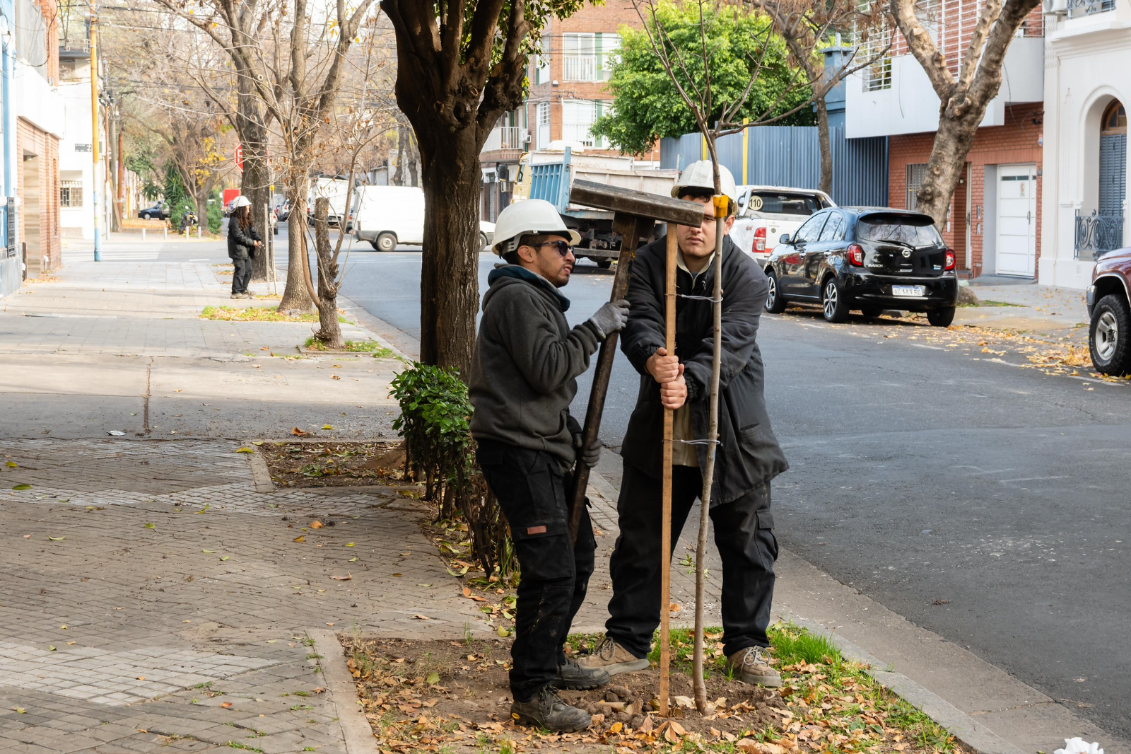 sin foto