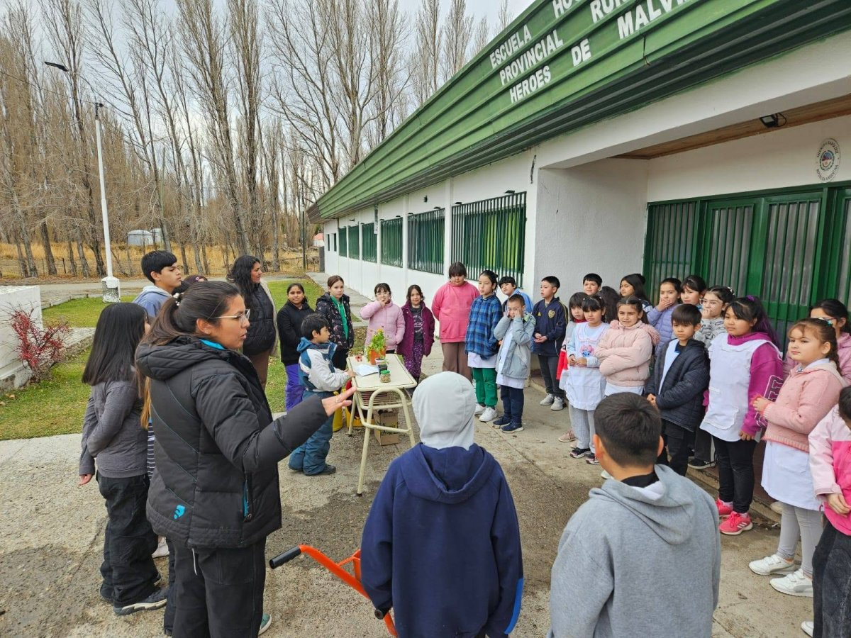 Estudiantes de 3.º grado participaron de una jornada de huerta y botánica que fortalece la educación ambiental y el compromiso con la sustentabilidad.