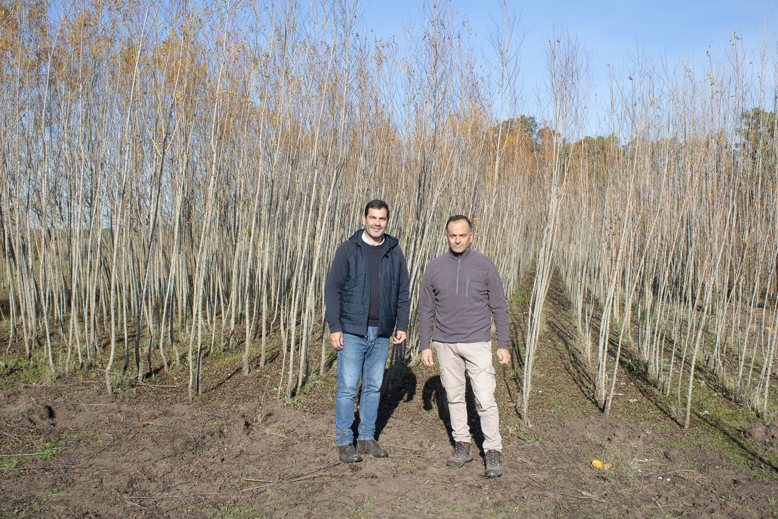El objetivo es fortalecer el patrimonio arbóreo de la ciudad, mejorar la calidad ambiental y avanzar en una planificación ordenada del arbolado público.