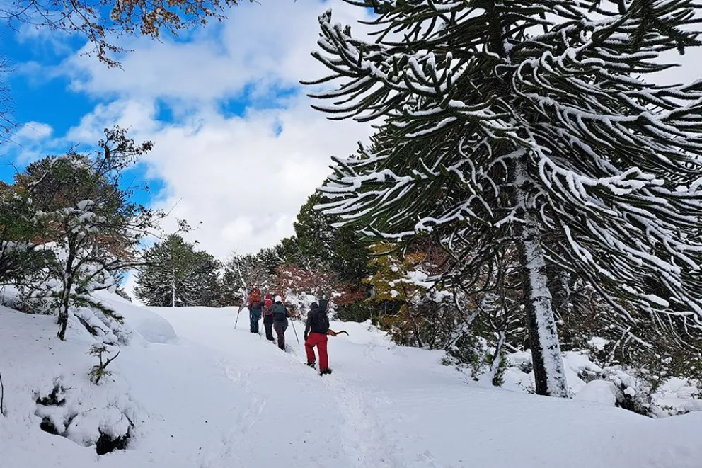 El Parque de Nieve Batea Mahuida ofrece promociones para la temporada 2026 con descuentos en pases, actividades familiares y una propuesta invernal única en la Patagonia.