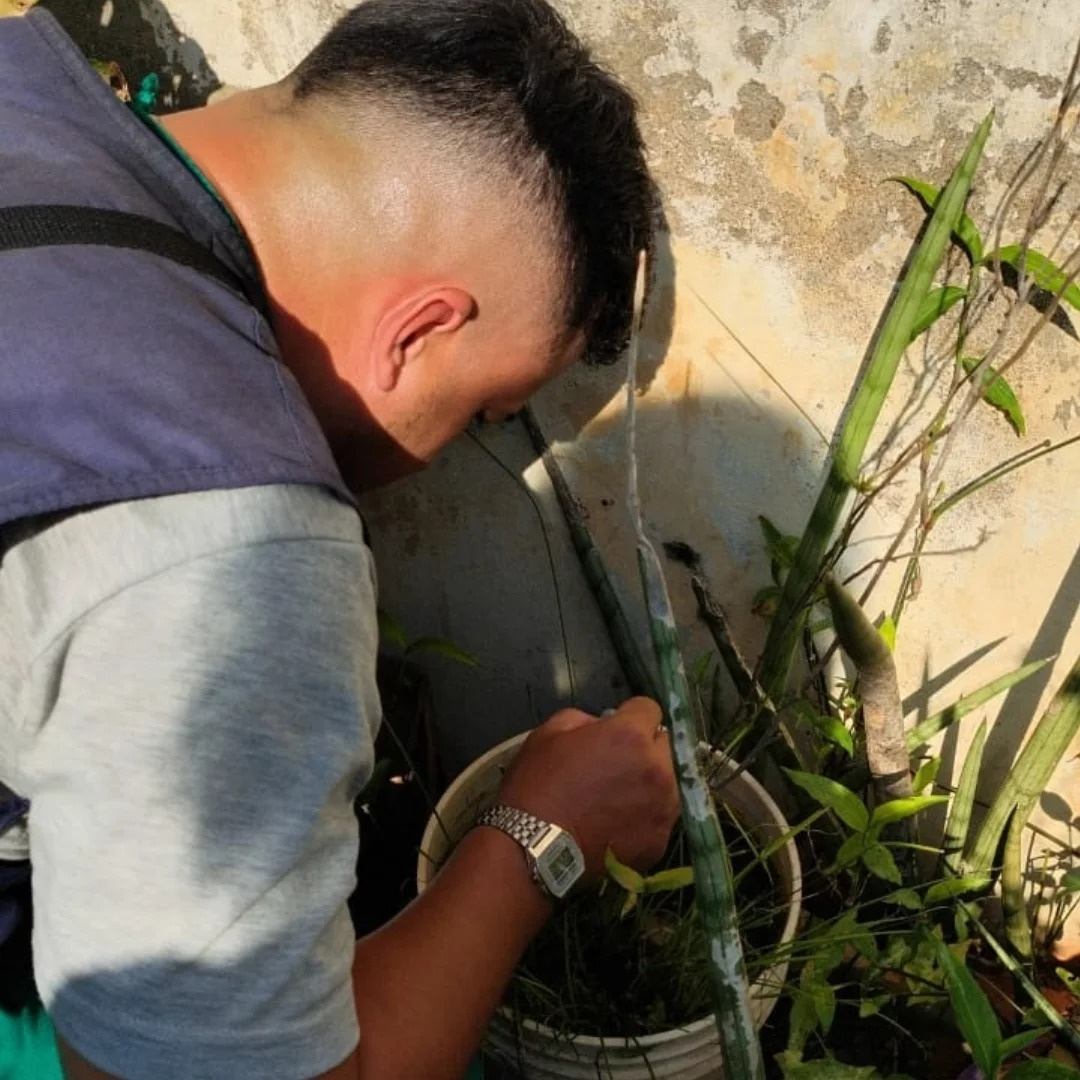La Municipalidad refuerza el descacharrado, la eliminación de criaderos y la fumigación focal en distintos barrios.