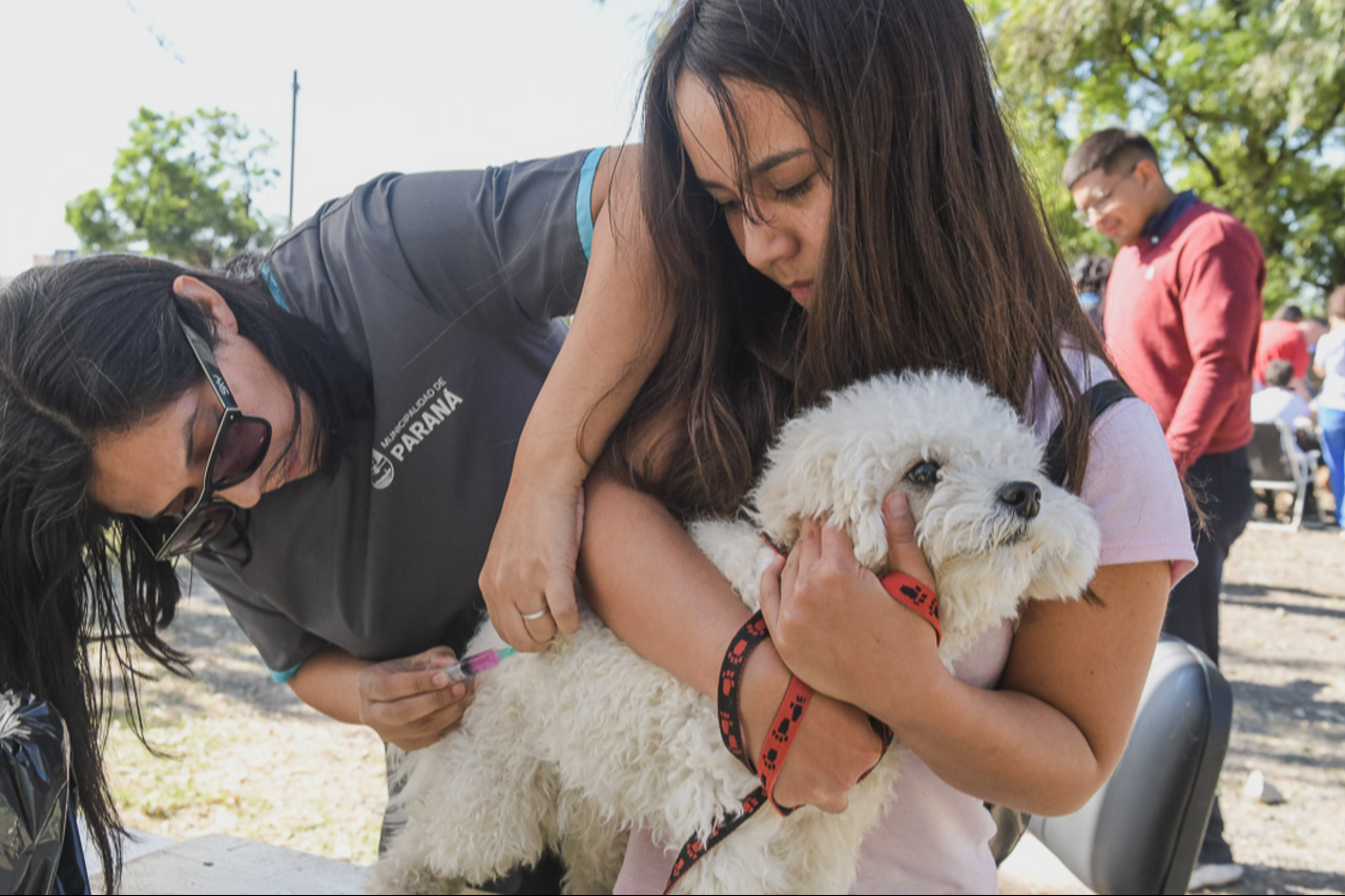 El servicio itinerante recorrerá distintos barrios de Paraná con atención gratuita para perros y gatos.