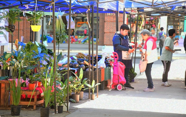 La Municipalidad de Corrientes realiza una nueva edición de las Ferias de la Ciudad, con productos frescos, artesanías y gastronomía en plazas y paseos.