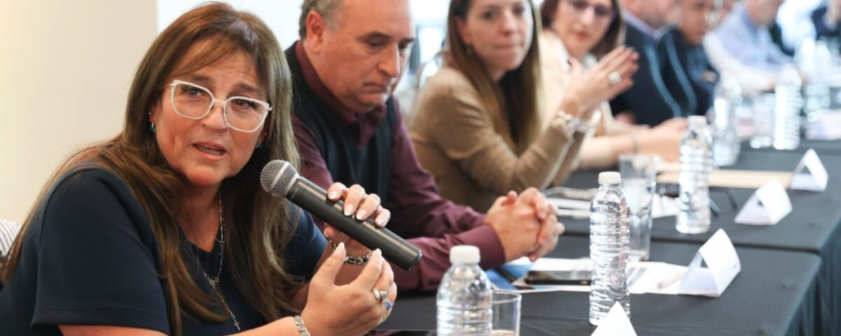 La ministra Gabriela Castillo expuso en el Consejo Federal de Energía las necesidades de Tierra del Fuego y advirtió sobre las desigualdades con el Área Metropolitana de Buenos Aires.