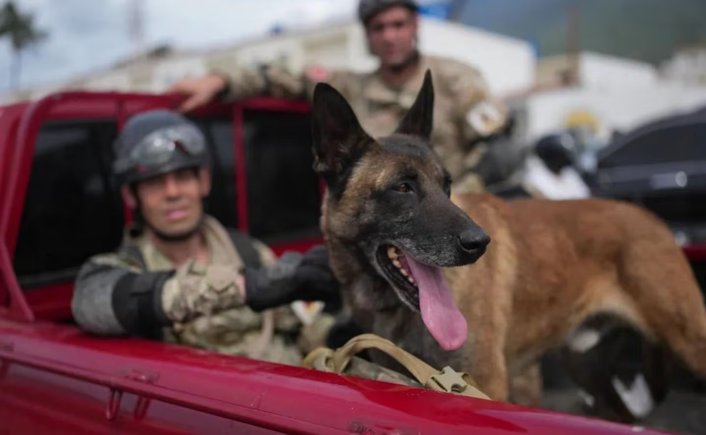 El can del equipo argentino detectó a dos niños atrapados entre los escombros y fue clave para el rescate.
