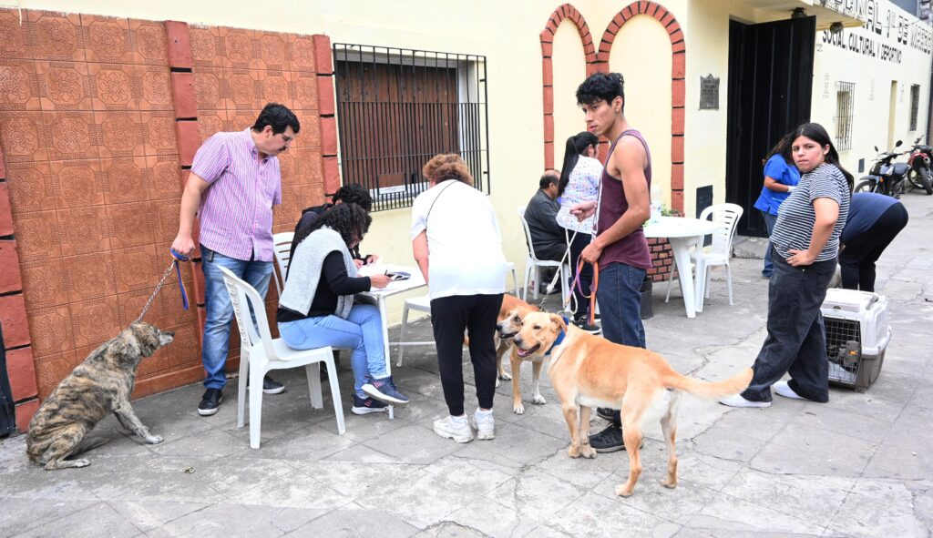 La Dirección de Zoonosis realizará una nueva etapa gratuita de vacunación y registro para perros y gatos mayores de tres meses, con operativos en múltiples barrios y modalidad puerta a puerta.