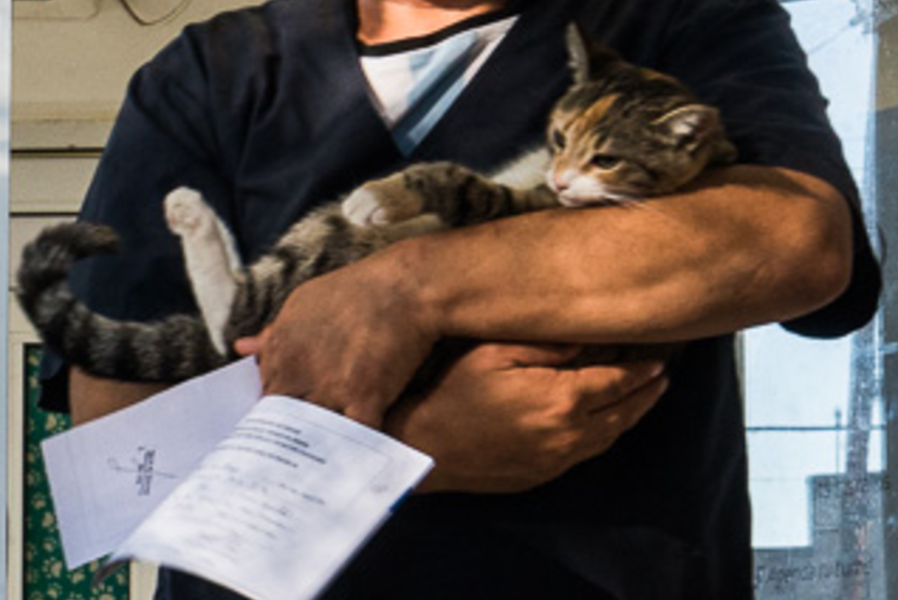 Los operativos recorrerán distintos barrios de Paraná con castraciones, vacunación y acciones de salud animal para prevenir el abandono y las enfermedades zoonóticas.