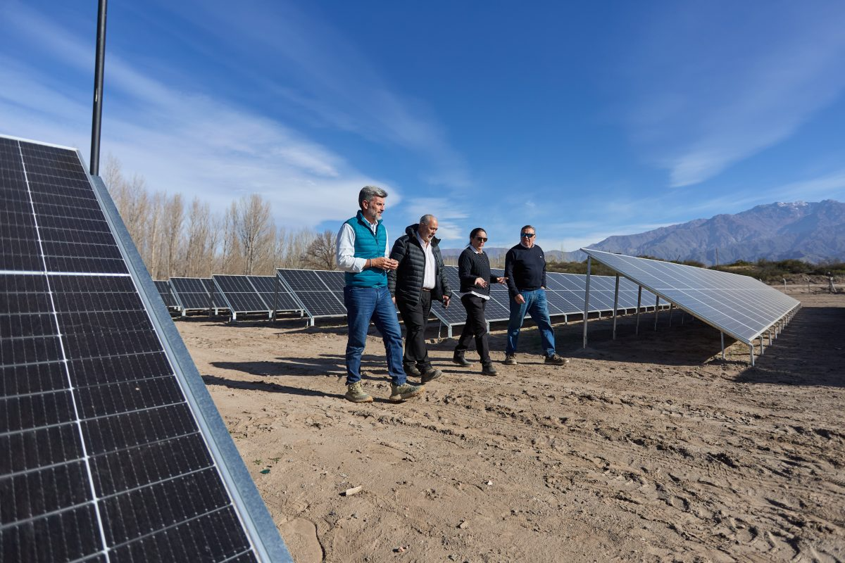 Con una inversión de $410 millones, Irrigación comenzó a generar energía solar para abastecer sus dependencias en Mendoza.