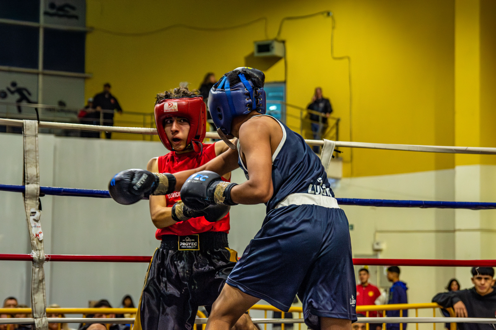 Este sábado, desde las 14, se disputarán 70 combates en dos rings en el Sargento Cabral. El pesaje será a las 10. Entrada: bono contribución de $1500 a beneficio del colegio en Villa Mitre.