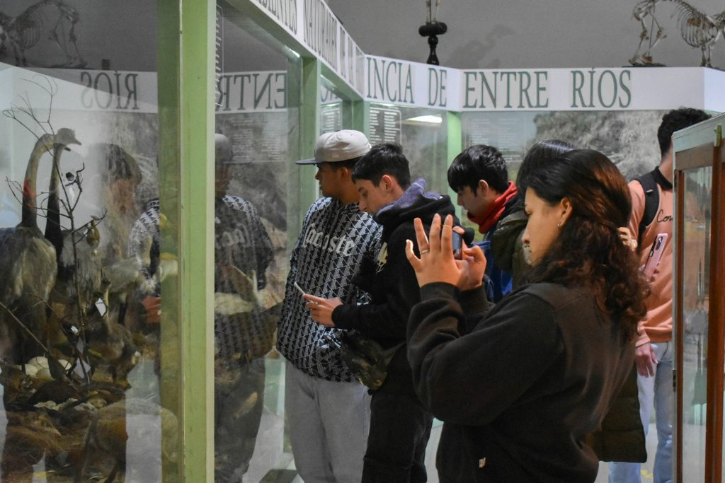 sin foto