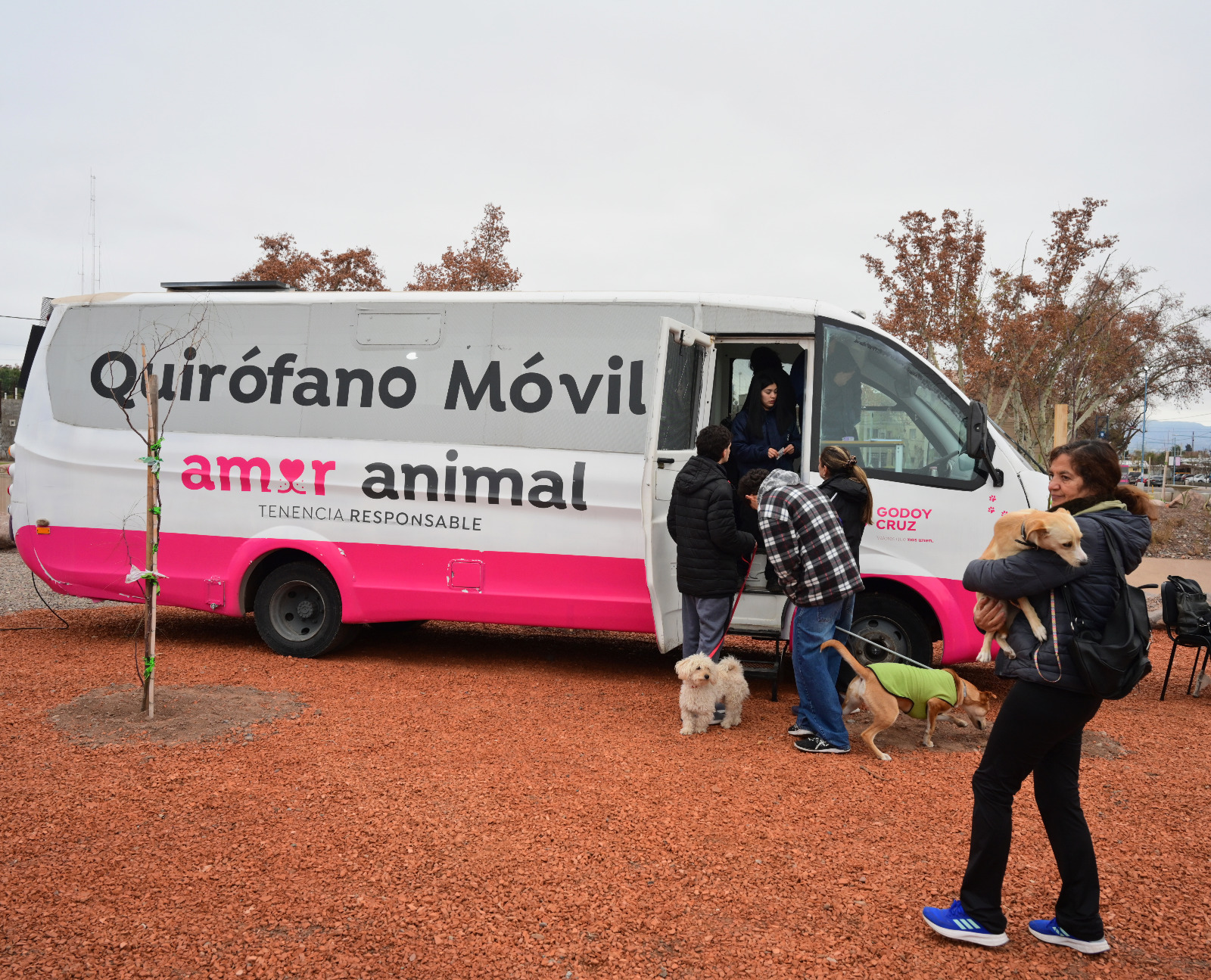Se aplicaron más de 70 vacunas antirrábicas, se distribuyeron más de 100 pipetas antiparasitarias y se desparasitaron 140 perros y gatos.