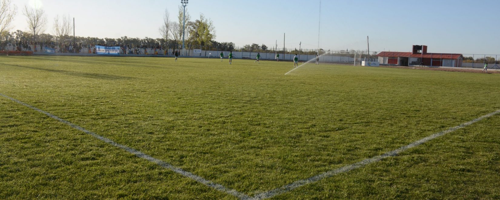 sin foto