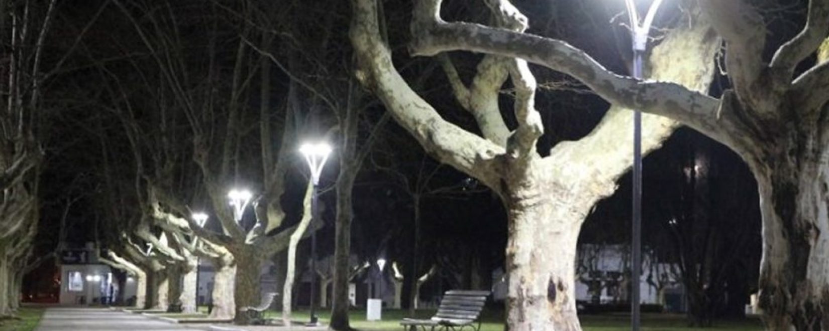 Desde el Municipio realizaron el llamado a presentaci\u00f3n de propuestas para la compra de 45 artefactos.
