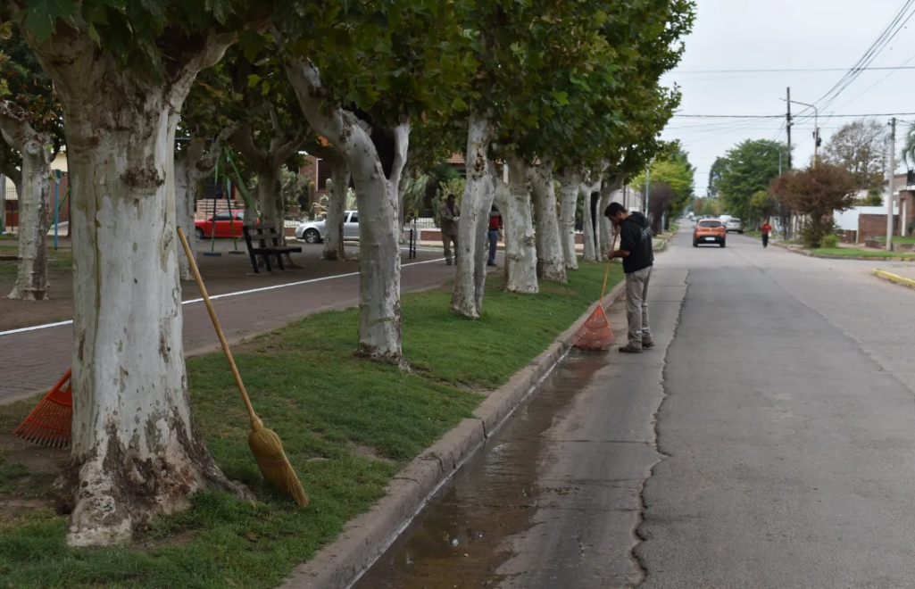 Adem\u00e1s de las tarea de limpieza, se realiza el embellecimiento de las plazas Dorrego y San Lorenzo.