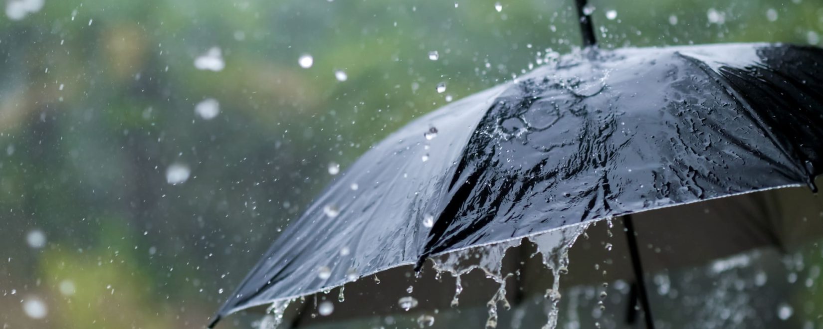 El 30 de agosto marca el d\u00eda de Santa Rosa de Lima en el calendario cat\u00f3lico, y muchas regiones de Am\u00e9rica Latina asocian esta fecha con la aparici\u00f3n de tormentas intensas, conocidas como la \u00abTormenta de Santa Rosa\u00ab. La creencia popular sostiene que las lluvias fuertes y tormentosas ocurren alrededor de esta fecha en honor [&hellip;]