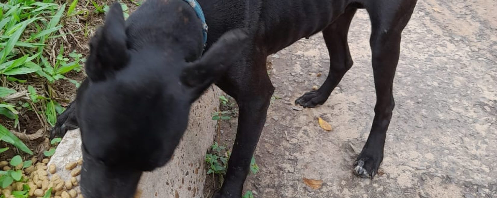 sin foto