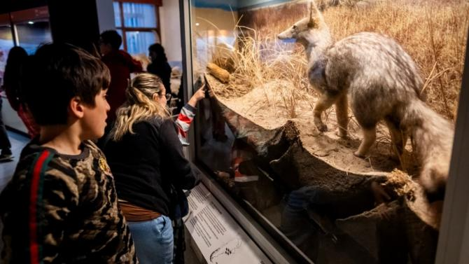 El EMTURyC informó horarios y novedades del espacio que prioriza la conservación del patrimonio natural, la investigación científica, la divulgación y la educación comunitaria sobre la historia natural regional.