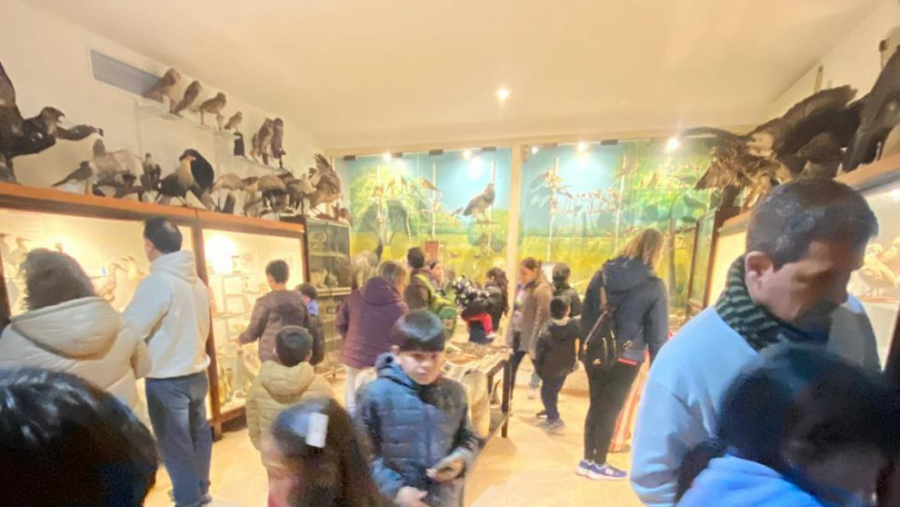 El Museo invita a recorrer sus muestras, participar de una actividad especial y disfrutar de propuestas gratuitas para toda la familia.